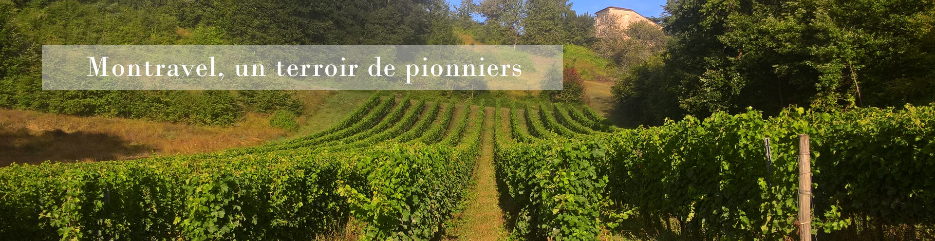 Vignoble Montravel